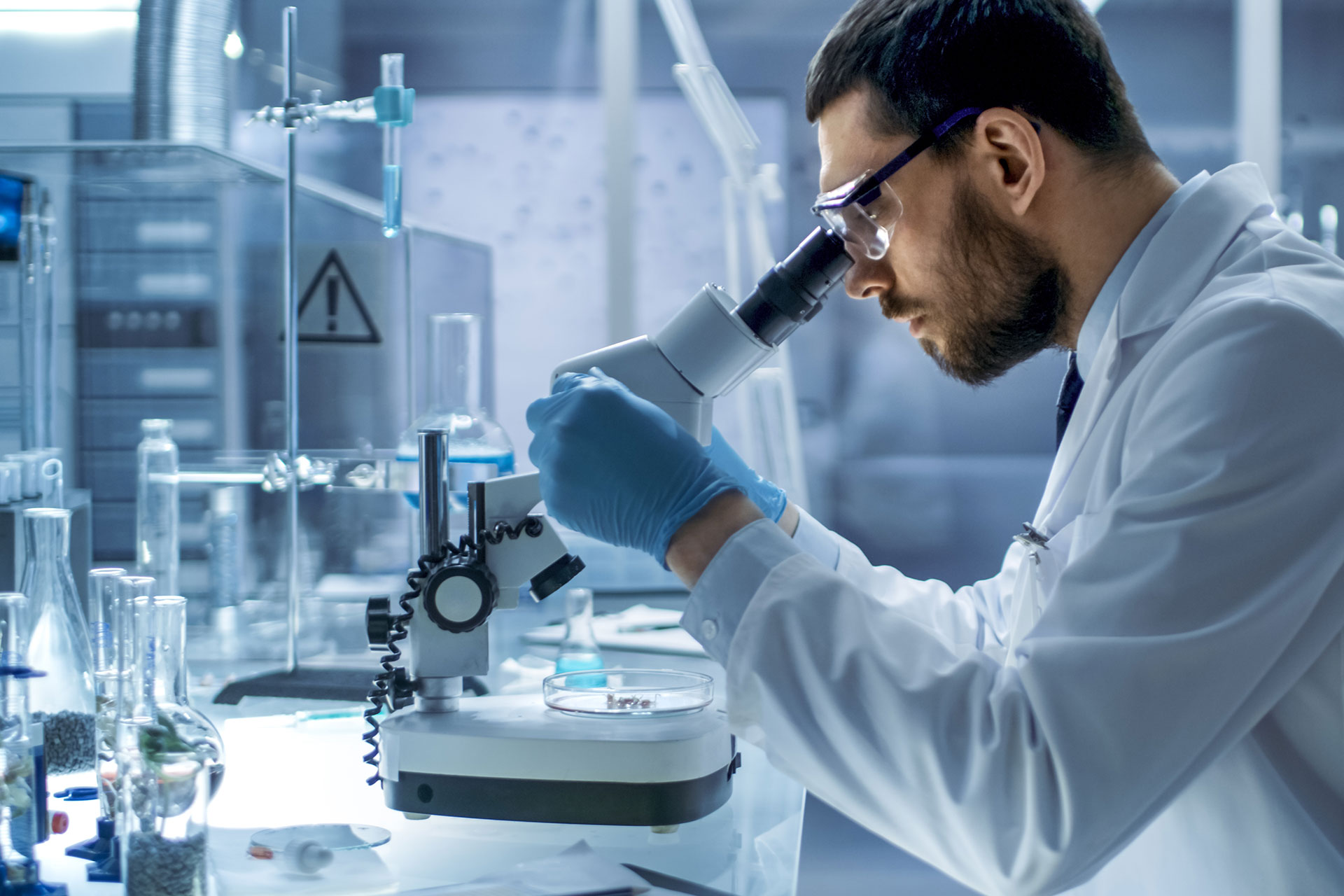 regolamento-reach-rgpballs